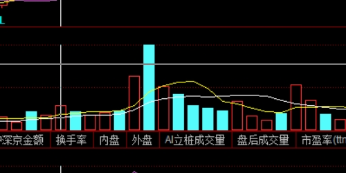 配资平台风险解析：如何保护你的资金安全